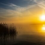 De huidige afbeelding heeft geen alternatieve tekst. De bestandsnaam is: P-D16-062547-R1A1-0437-klein-150x150-2.jpg