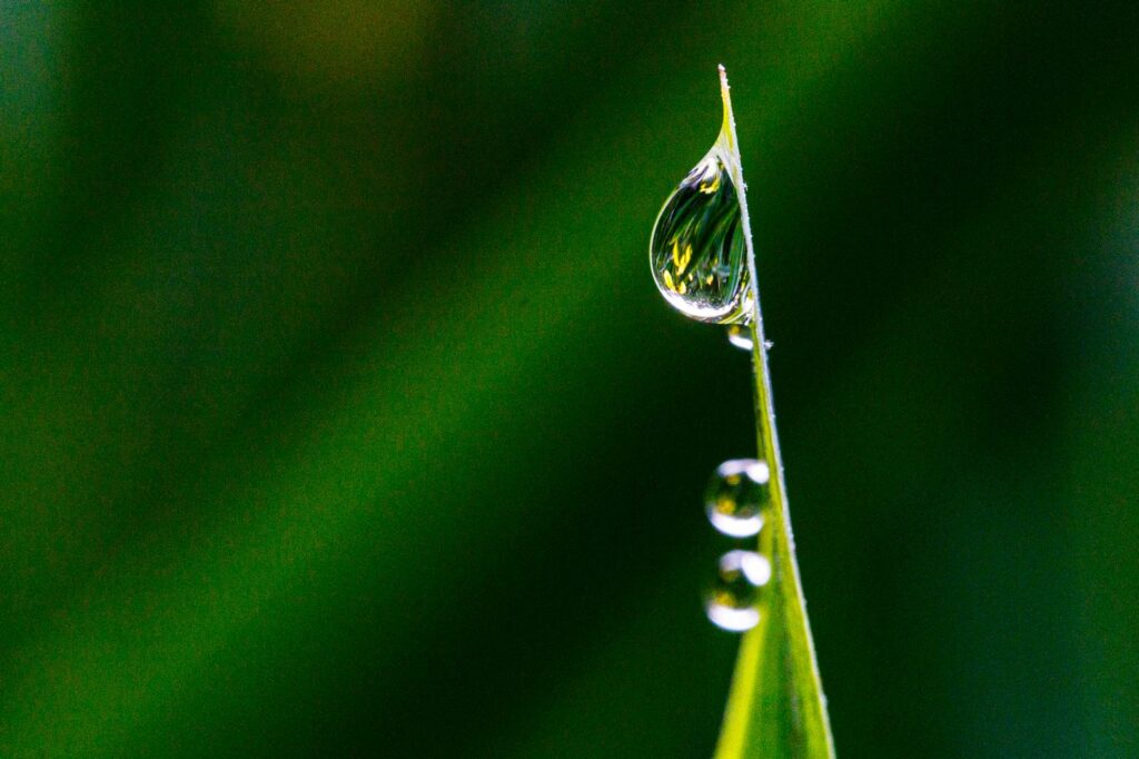 De huidige afbeelding heeft geen alternatieve tekst. De bestandsnaam is: P-E16-070324-R1A1-5691-KLU.jpg